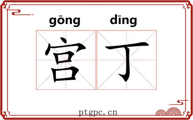 宫丁