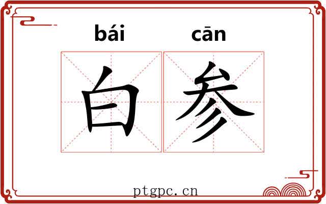 白参 白参