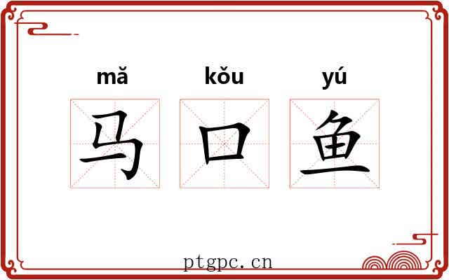 马口鱼 马口鱼