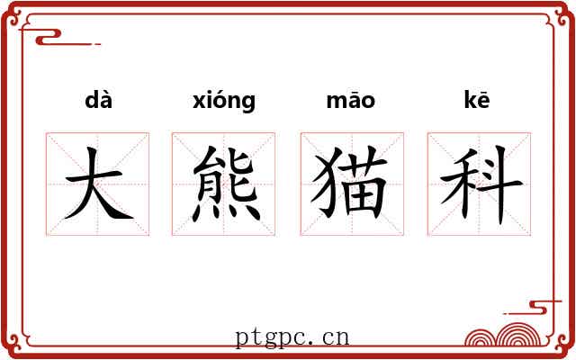大熊猫科 大熊猫科