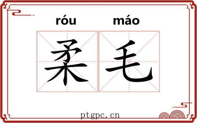 柔毛 柔毛