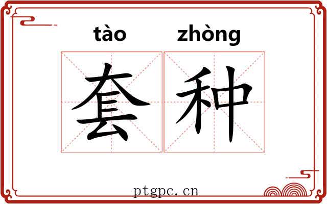 套种 套种
