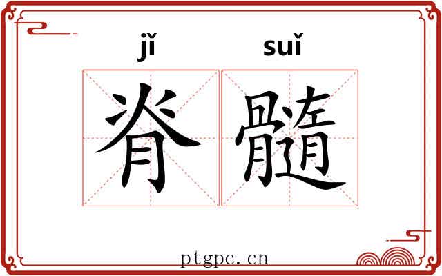 脊髓