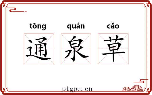 通泉草