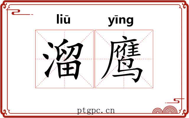 溜鹰