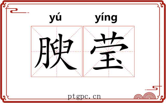 腴莹