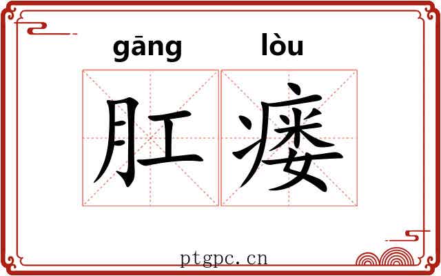 肛瘘