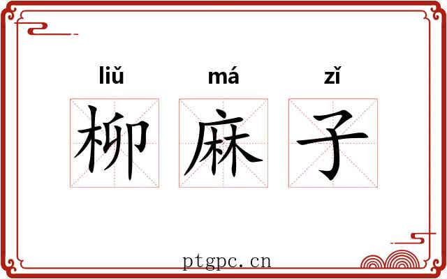 柳麻子 柳麻子