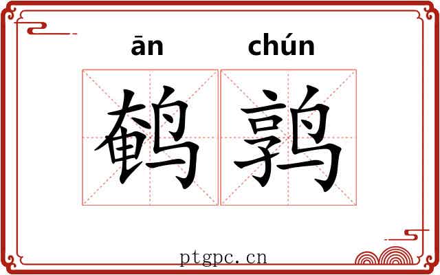 鹌鹑