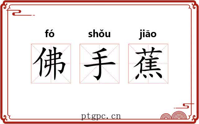 佛手蕉 佛手蕉