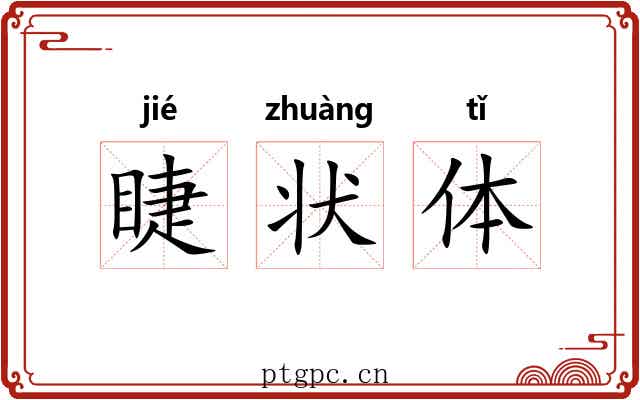 睫状体 睫状体