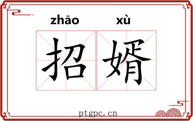 招婿