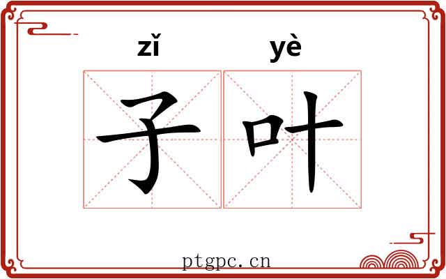 子叶 子叶