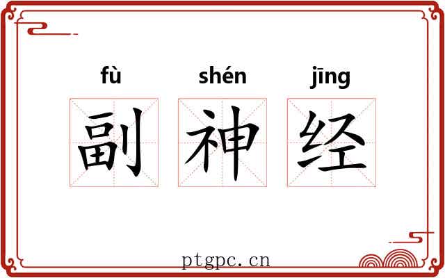 副神经 副神经