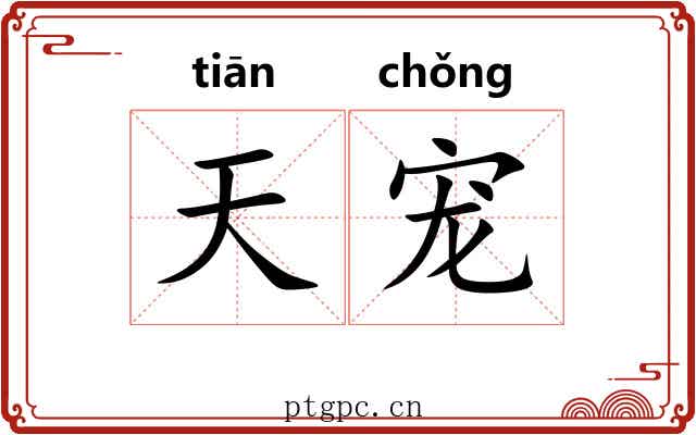 天宠 天宠