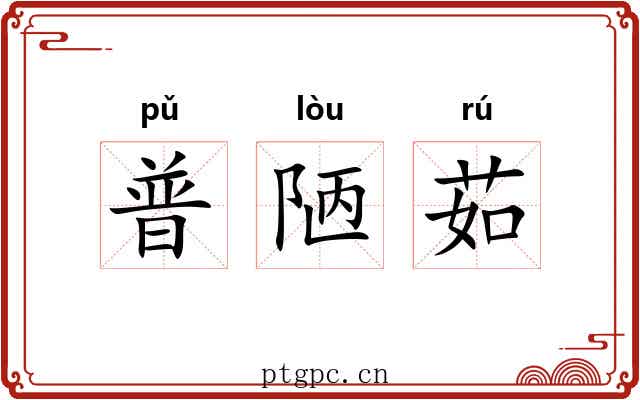 普陋茹 普陋茹