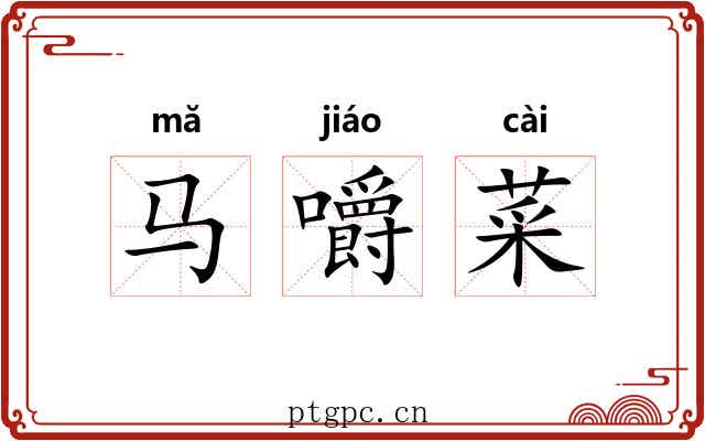 马嚼菜