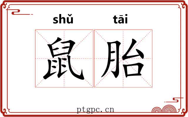 鼠胎