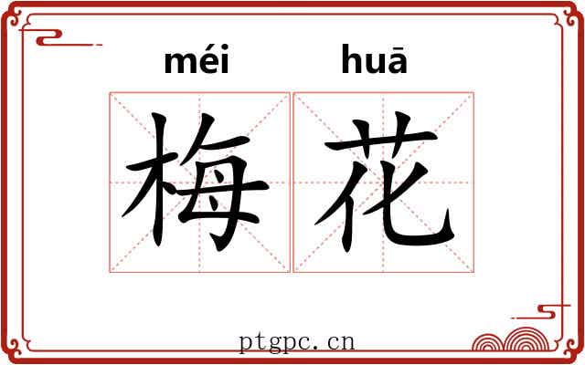 梅花 梅花