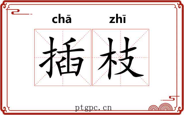 插枝