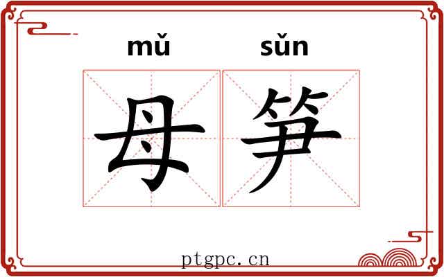 母笋