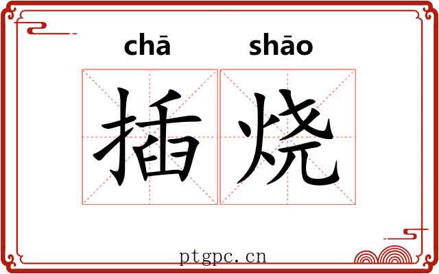 插烧