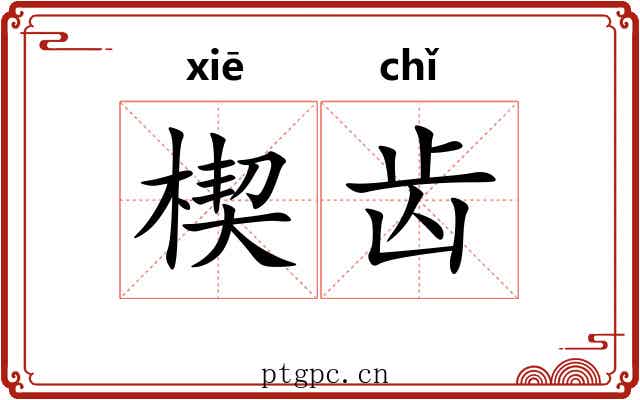 楔齿