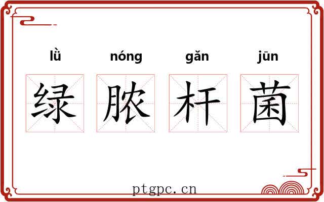 绿脓杆菌 绿脓杆菌