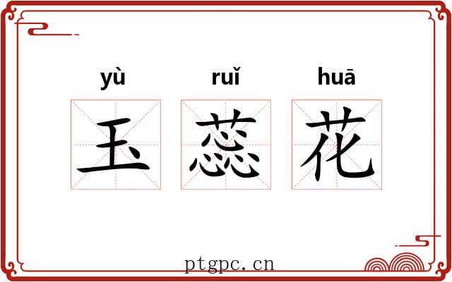 玉蕊花 玉蕊花