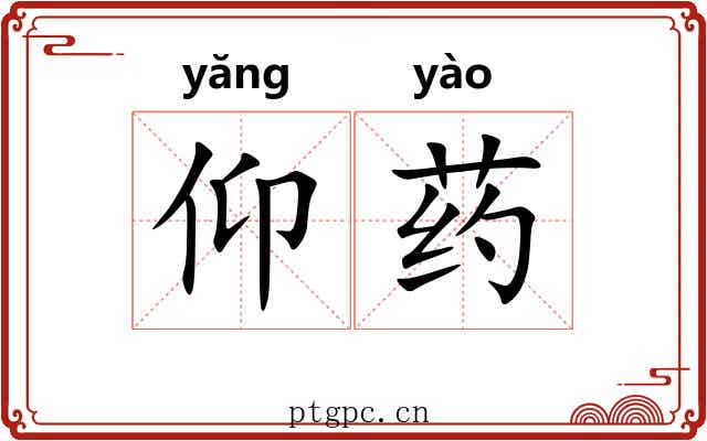 仰药 仰药