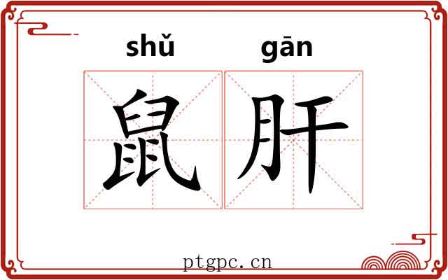 鼠肝