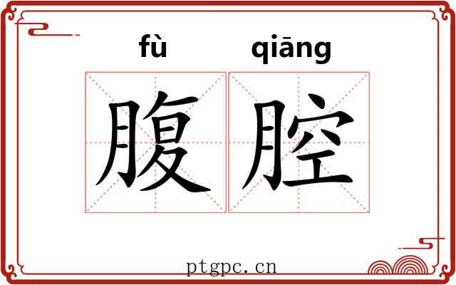腹腔 腹腔