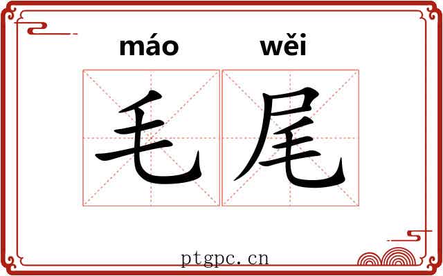 毛尾 毛尾