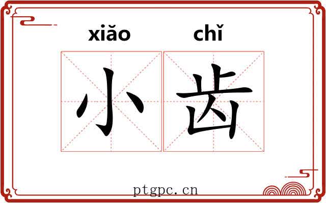 小齿 小齿