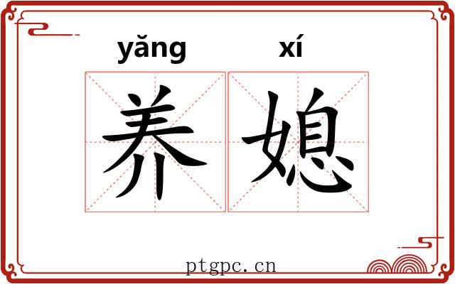 养媳
