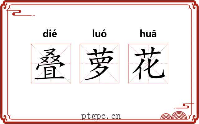 叠萝花 叠萝花