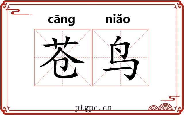 苍鸟
