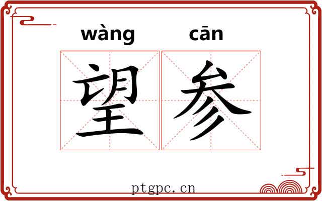 望参 望参