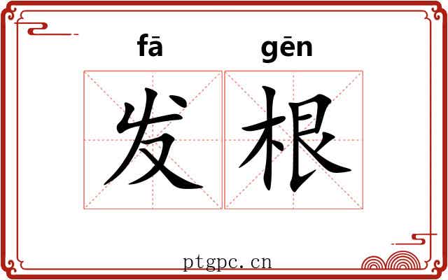 发根 发根