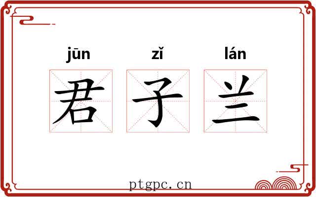 君子兰 君子兰