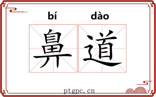 鼻道