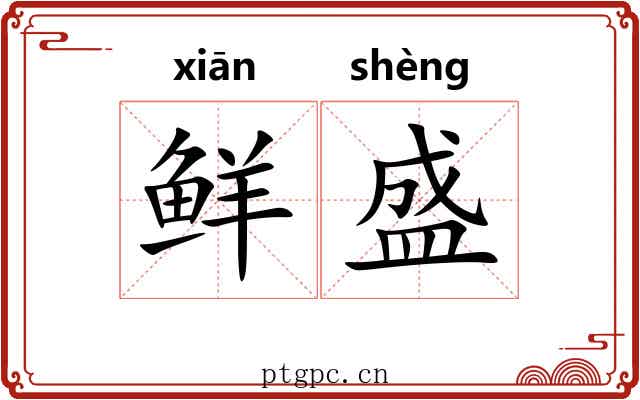 鲜盛 鲜盛