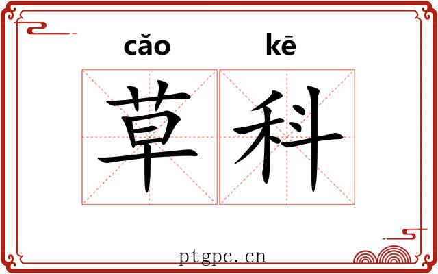 草科 草科