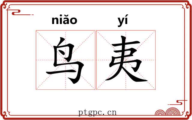 鸟夷