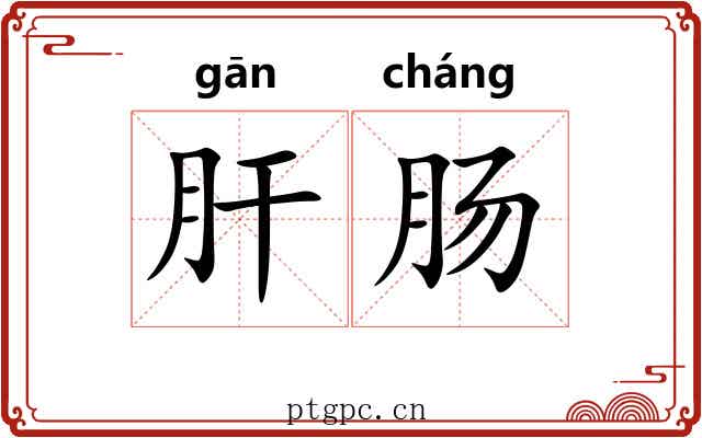 肝肠