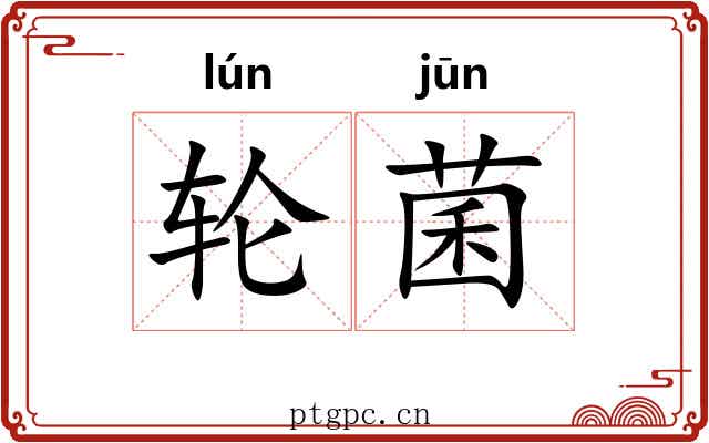 轮菌
