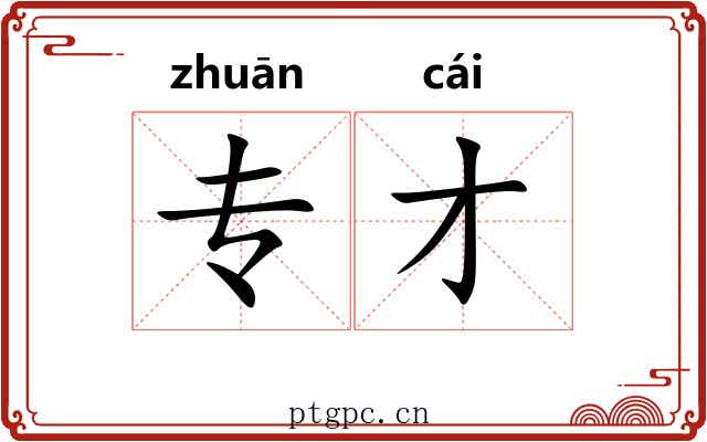 专才