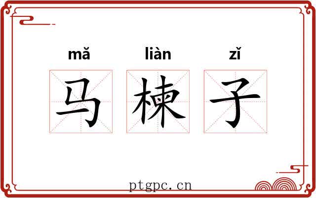 马楝子