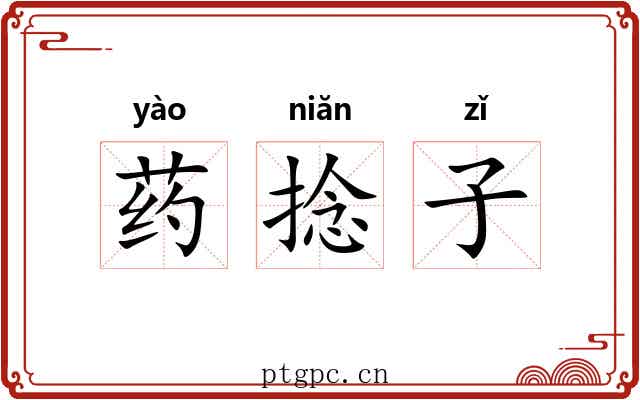药捻子 药捻子