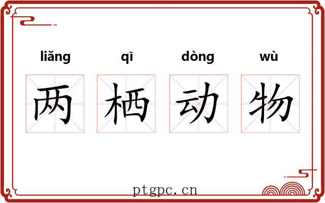 两栖动物 两栖动物